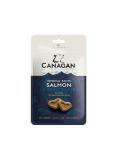 Canagan Dog Biscuit Bakes Omega Rich Salmon 150 g