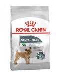 Royal Canin Dog Mini Dental Care 3 kg
