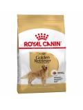 Royal Canin zlatý retriever Adult 12 kg