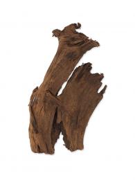 Repti Planet Kořen Driftwood Bulk M 29-36 cm