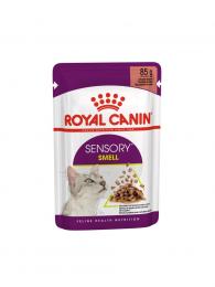 Royal Canin kapsička Sensory Smell in gravy