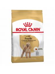 Royal Canin Pudl Adult
