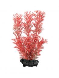 Tetra Akvarijní rostlina Foxtail Red