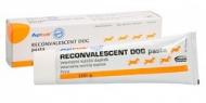 Orion Pharma Aptus Reconvalescent DOG pasta 100 g