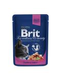 Brit Premium Cat Pouch with Salmon & Trout 100 g