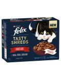 Felix Tasty Shreds lahodný výběr maso+drůbež ve šťávě 12x80 g