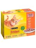 Friskies Cat multipack kuře, losos, kachna, krůta ve šťávě 12x85 g