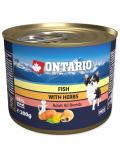 Ontario konzerva Mini ryby tří druhů, lososový olej a bylinky 200 g