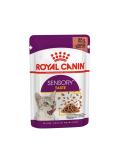 Royal Canin kapsička Sensory Taste in gravy 85 g